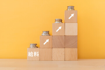 水道屋の給料ってどれくらい？東京都足立区のひまわり水道設備で働く魅力とは